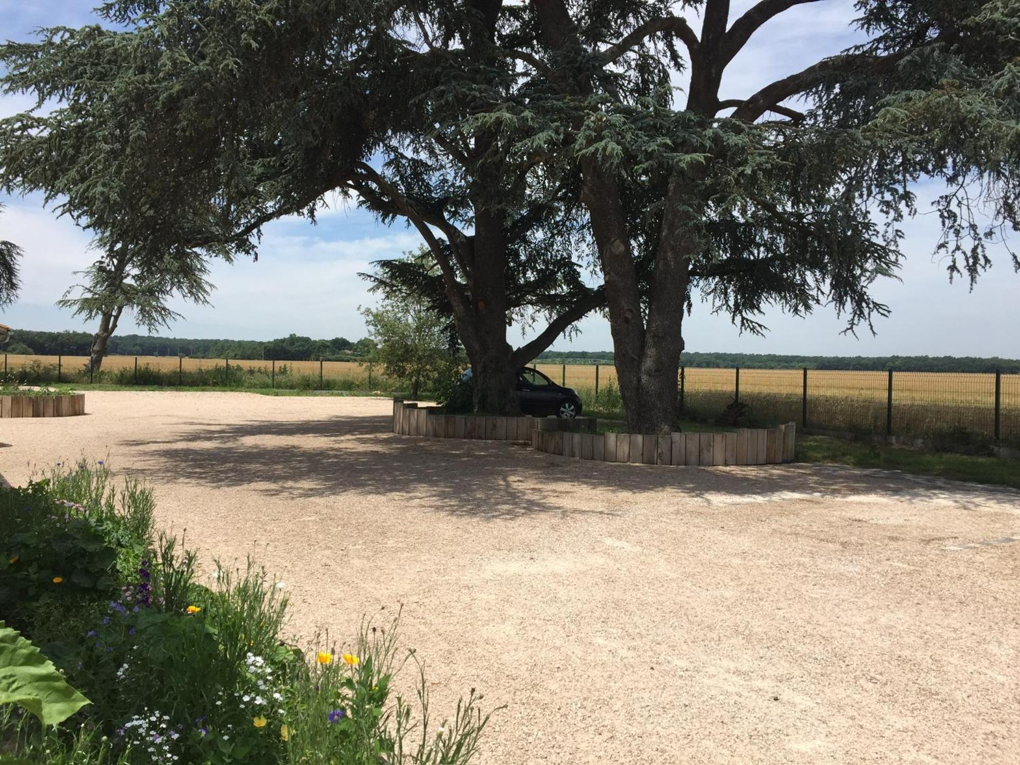 La Garoffe Bed and Breakfast Pibrac Buitenkant foto